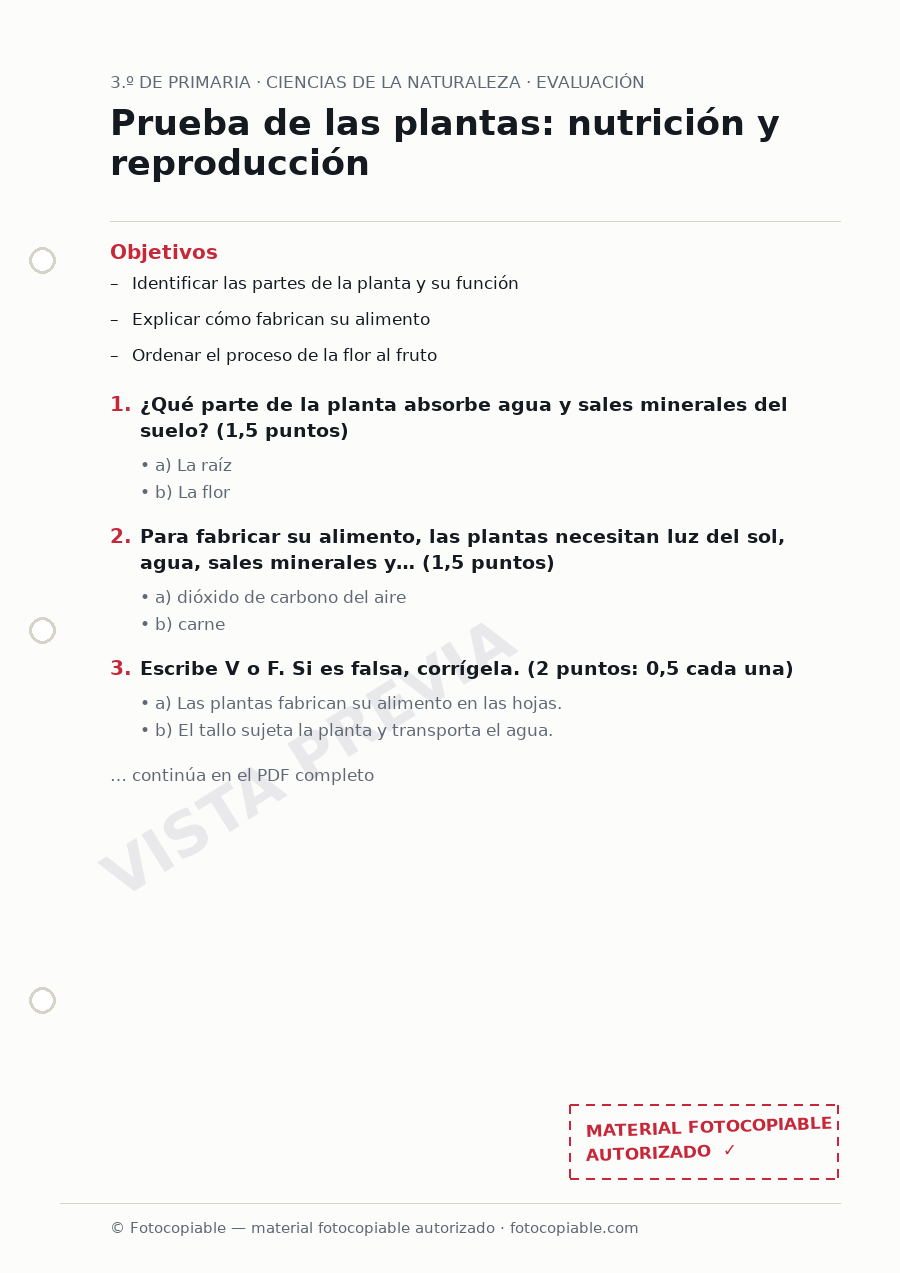 Vista previa de la ficha «Prueba de las plantas: nutrición y reproducción»