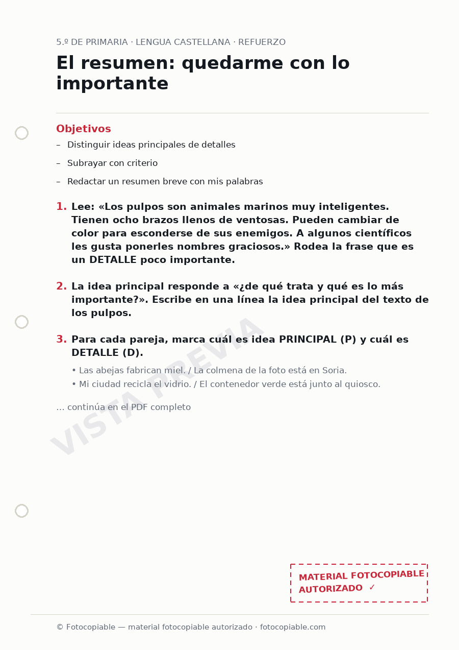 Vista previa de la ficha «El resumen: quedarme con lo importante»